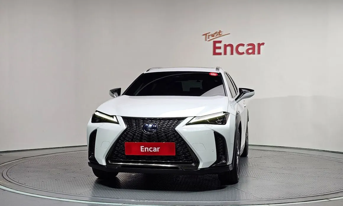 Lexus UX 2021 из KR, фото 4
