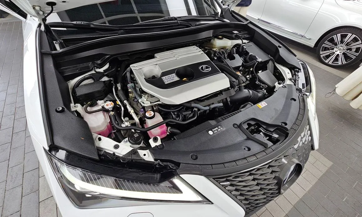 Lexus UX 2021 из KR, фото 9