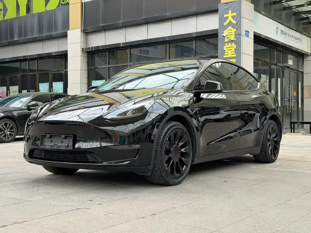 Tesla Model Y — фото 1