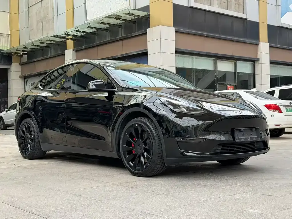Tesla Model Y — фото 4