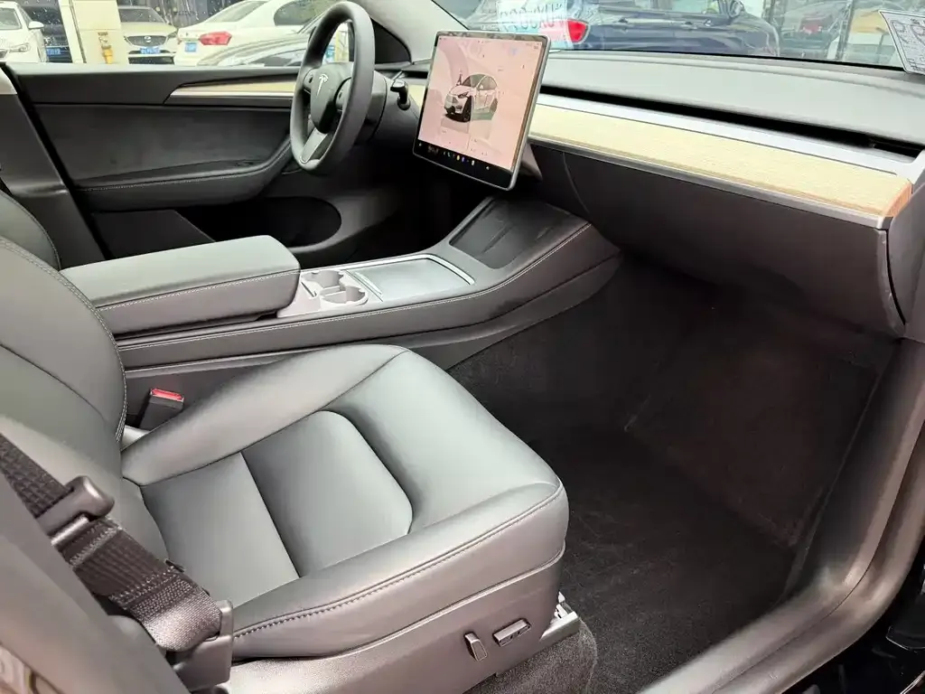 Tesla Model Y — фото 8