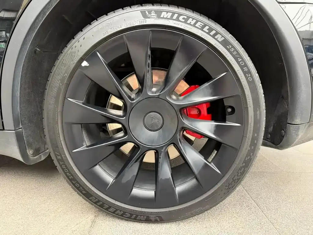 Tesla Model Y — фото 3