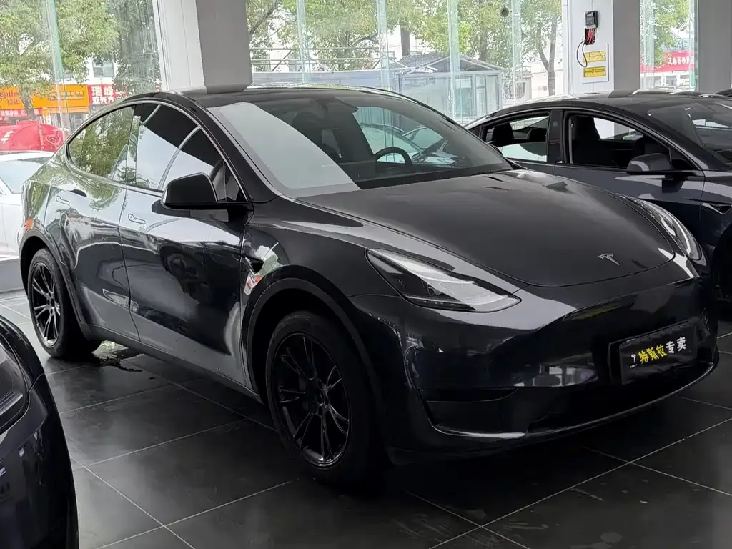 Tesla Model Y — фото 2