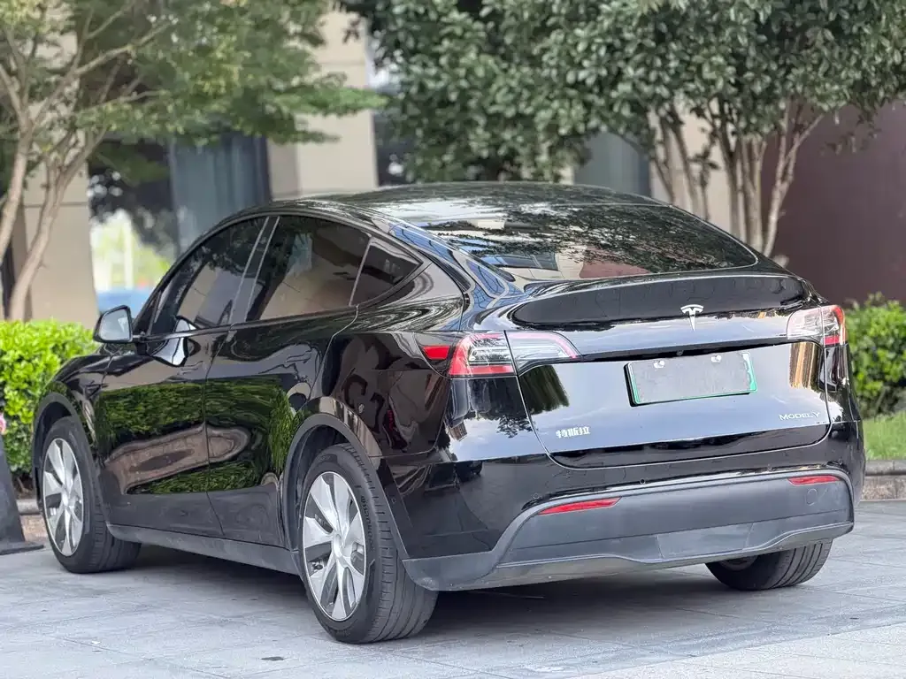 Tesla Model Y — фото 2