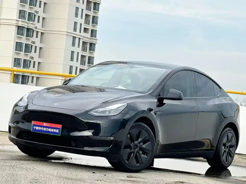 Tesla Model Y — фото 1