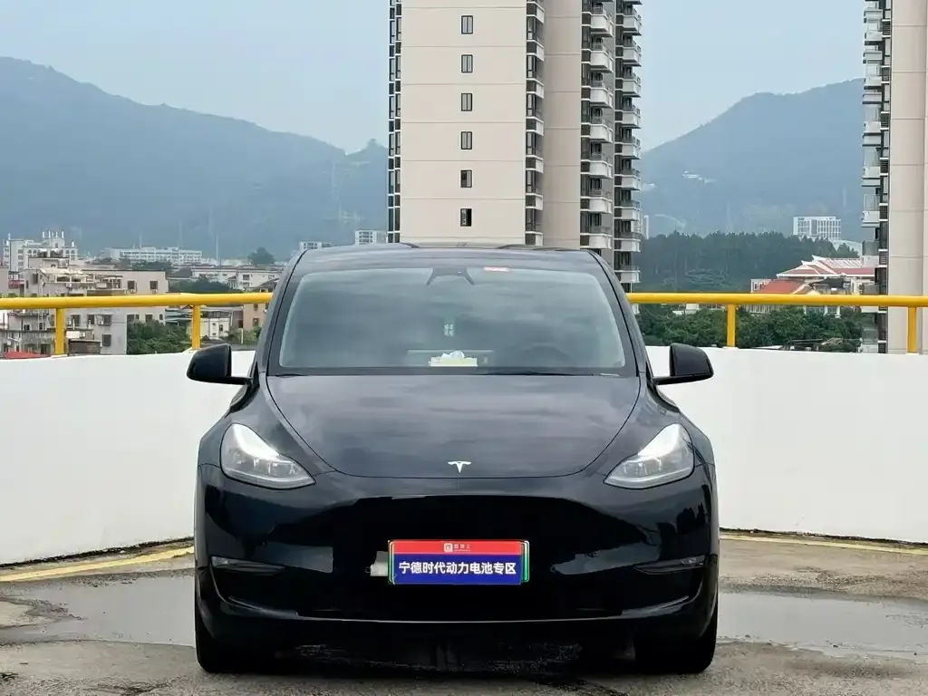 Tesla Model Y — фото 8