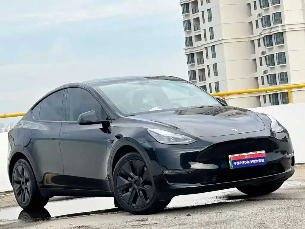Tesla Model Y — фото 4