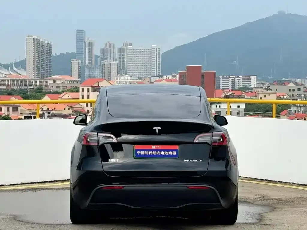 Tesla Model Y — фото 2