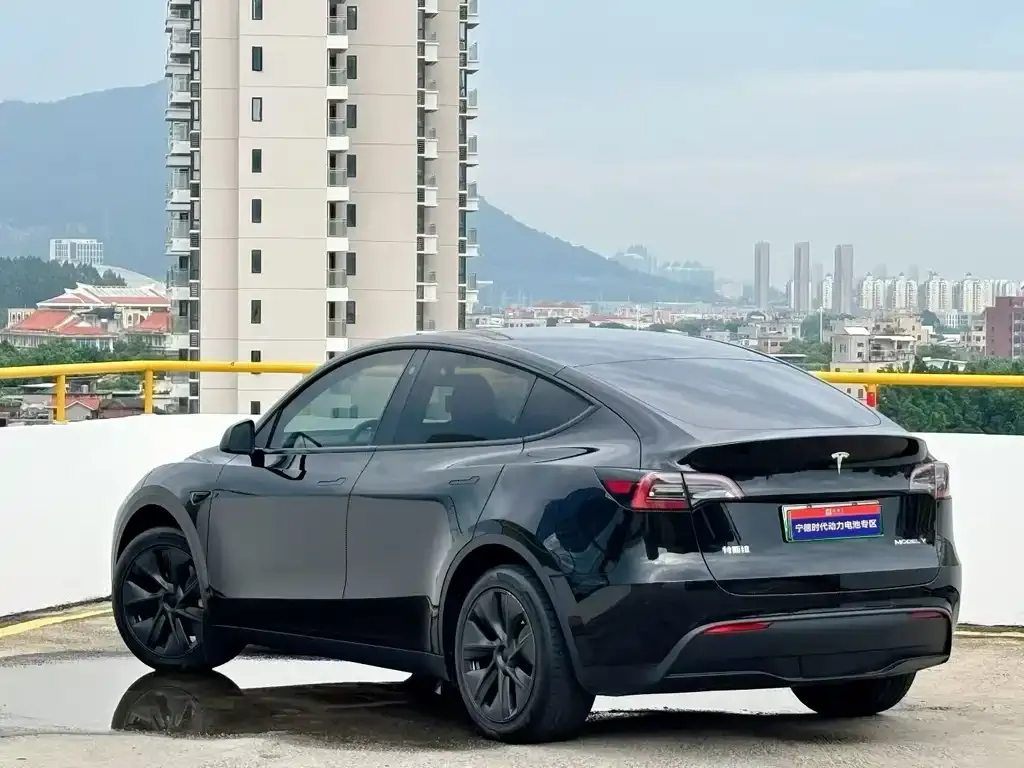 Tesla Model Y — фото 3