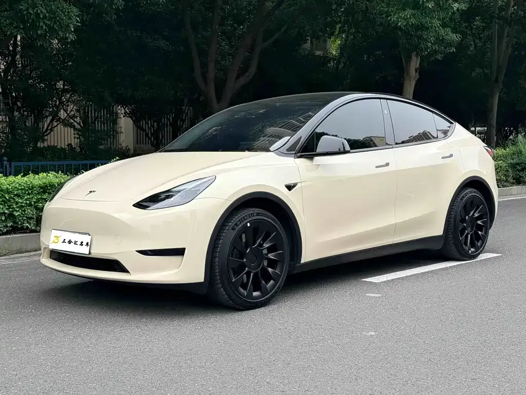 Tesla Model Y — фото 1