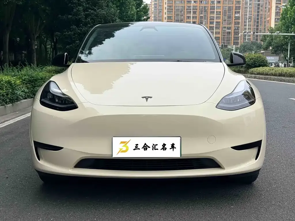 Tesla Model Y — фото 8