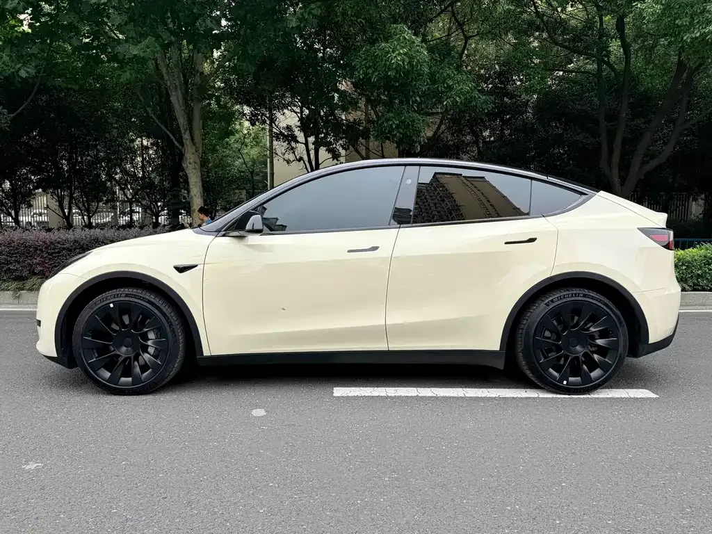 Tesla Model Y — фото 10