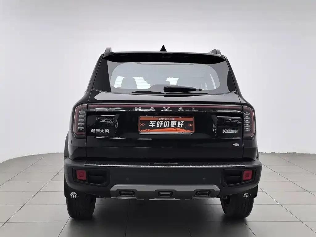 Haval Big Dog — фото 10