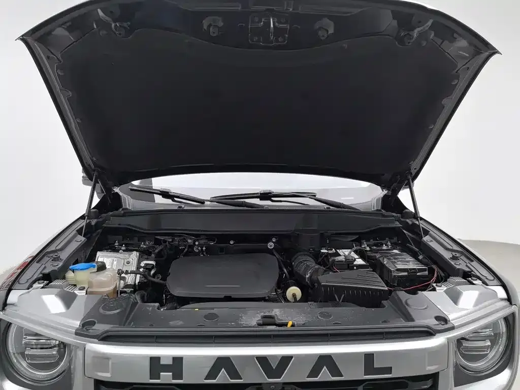 Haval Big Dog — фото 6