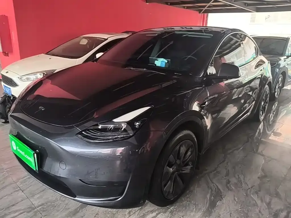 Tesla Model Y — фото 7
