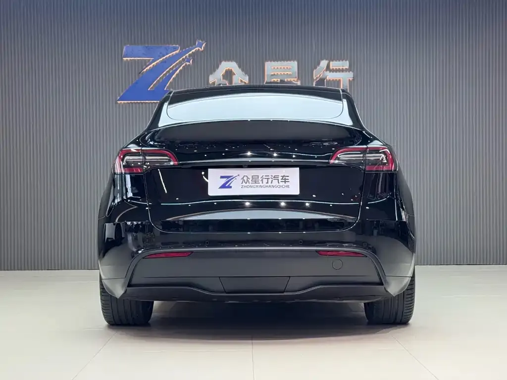 Tesla Model Y — фото 10