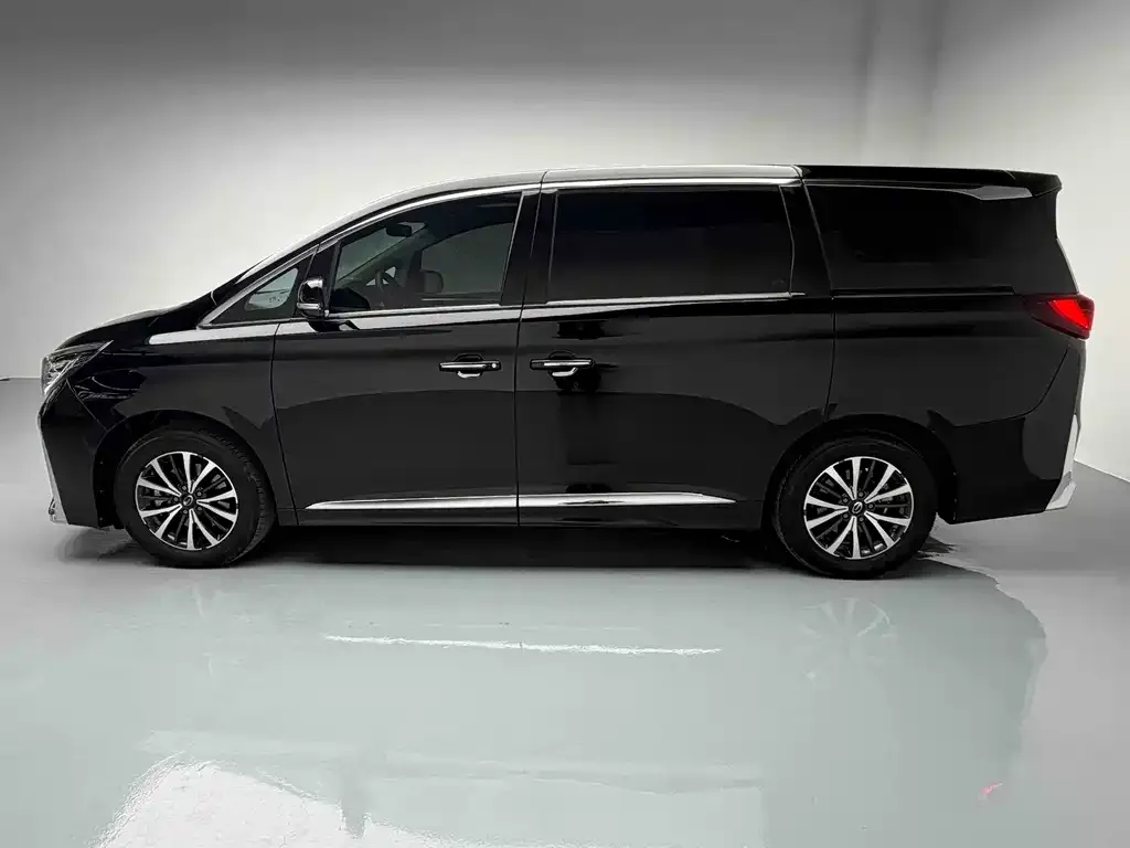 GAC Motor Trumpchi M8 2024 из CN, фото 6