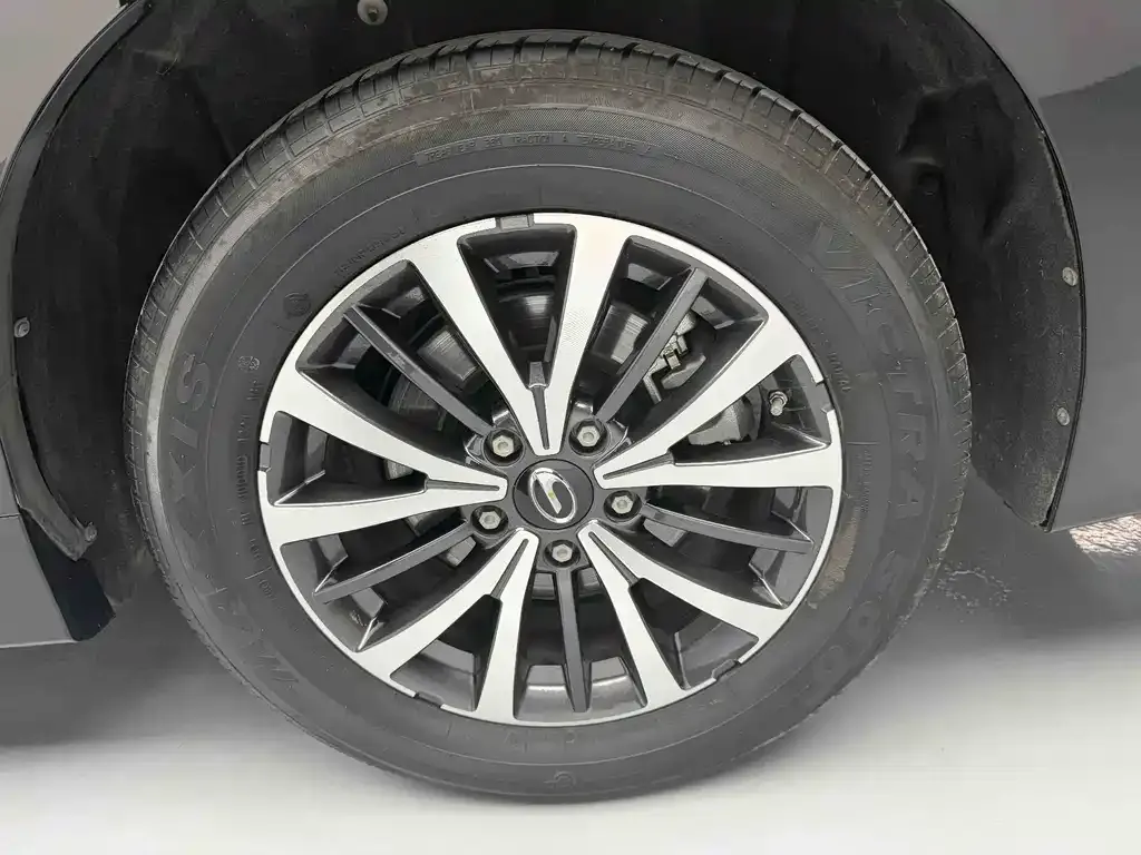 GAC Motor Trumpchi M8 2024 из CN, фото 9