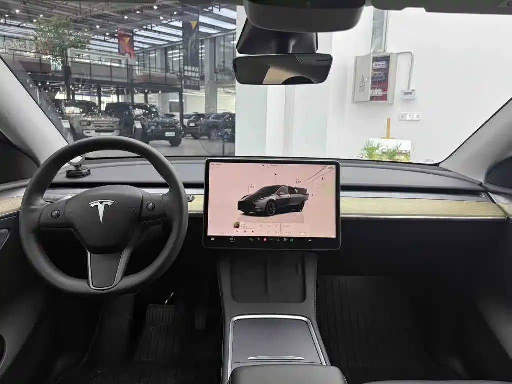 Tesla Model Y — фото 10
