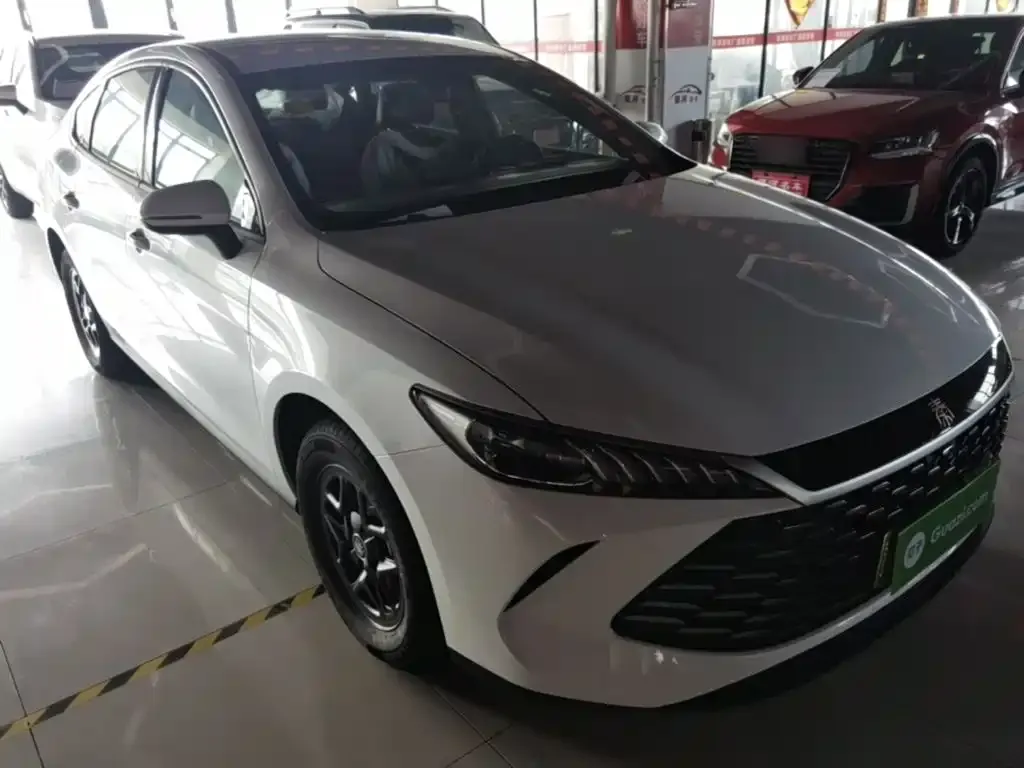 BYD Qin PLUS — фото 4