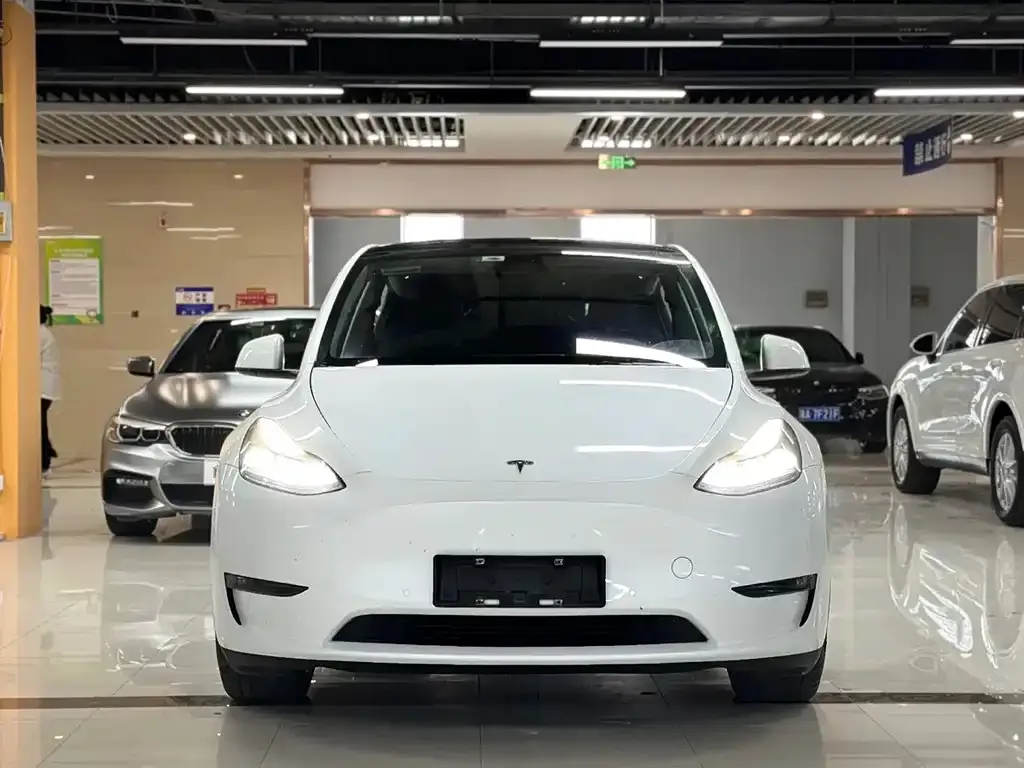 Tesla Model Y — фото 6