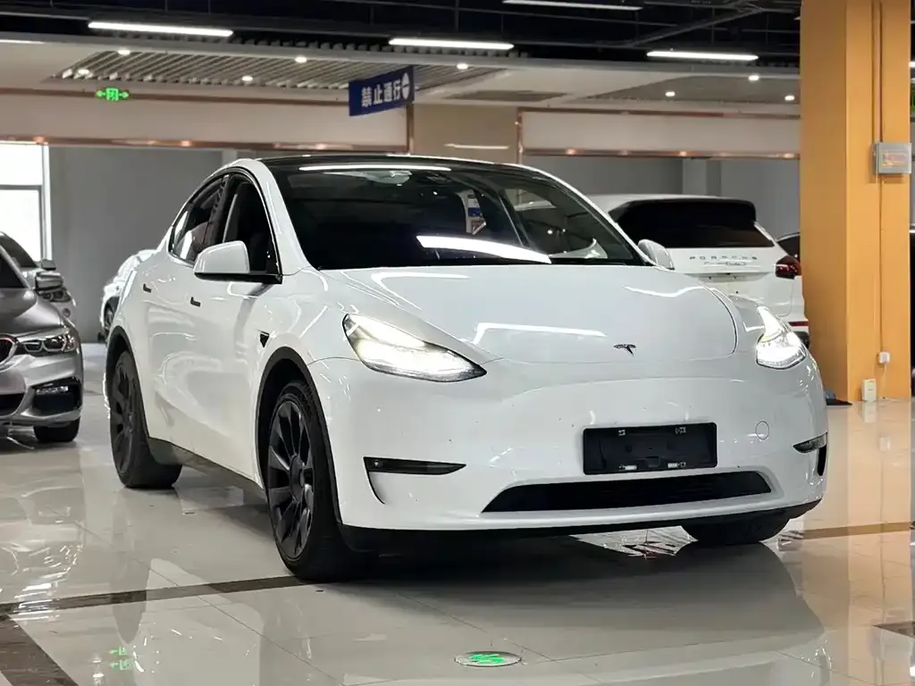 Tesla Model Y — фото 7