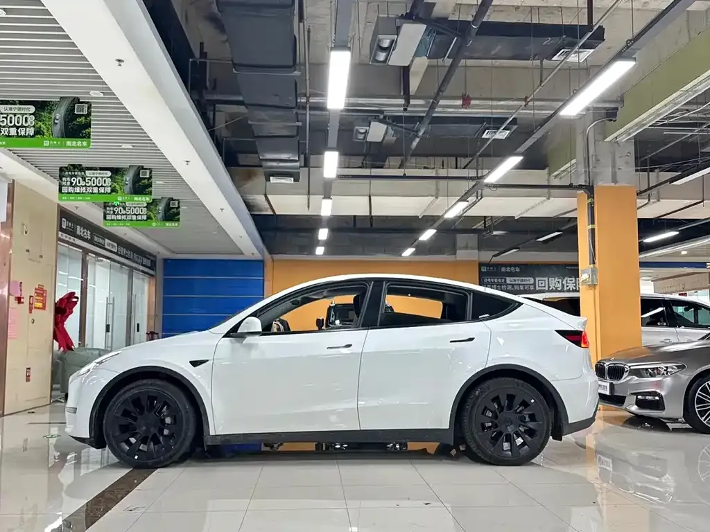 Tesla Model Y — фото 5