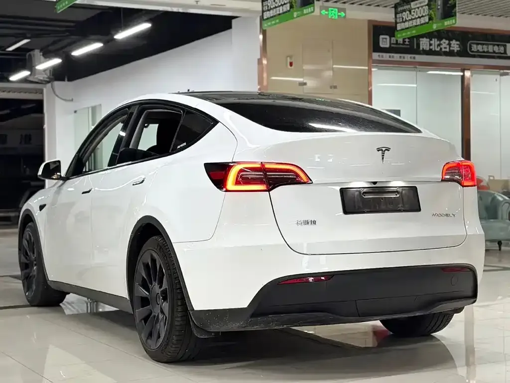 Tesla Model Y — фото 10