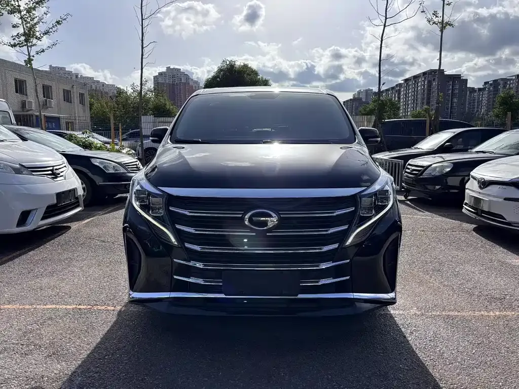 GAC Motor Trumpchi M8 2024 из CN, фото 9