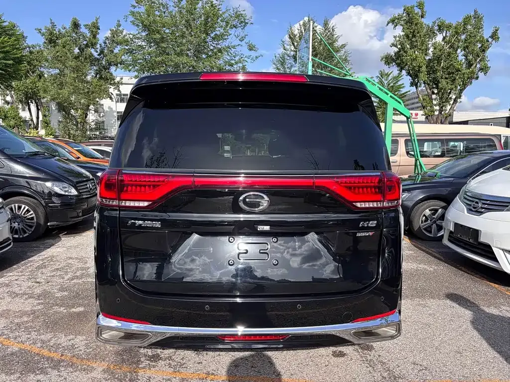 GAC Motor Trumpchi M8 2024 из CN, фото 4