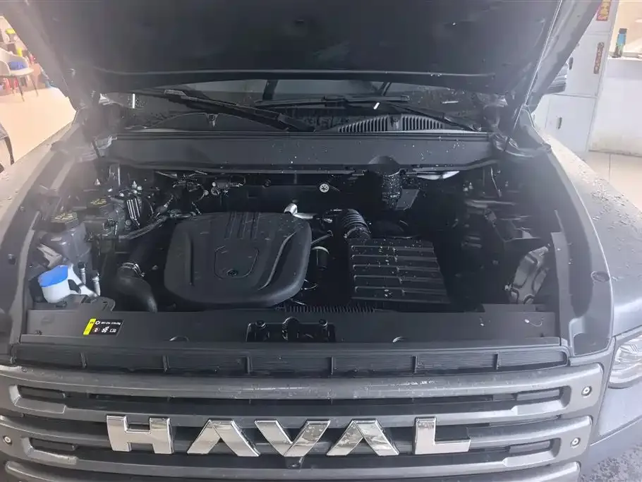 Haval Menglong New Energy 2024 из CN, фото 5
