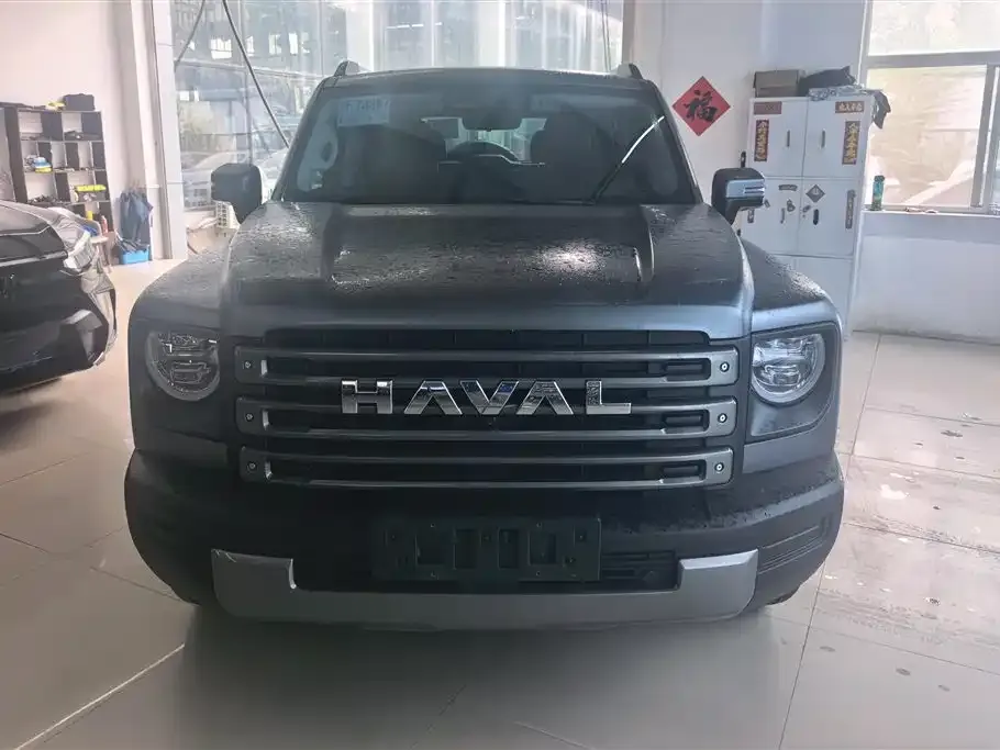 Haval Menglong New Energy 2024 из CN, фото 3