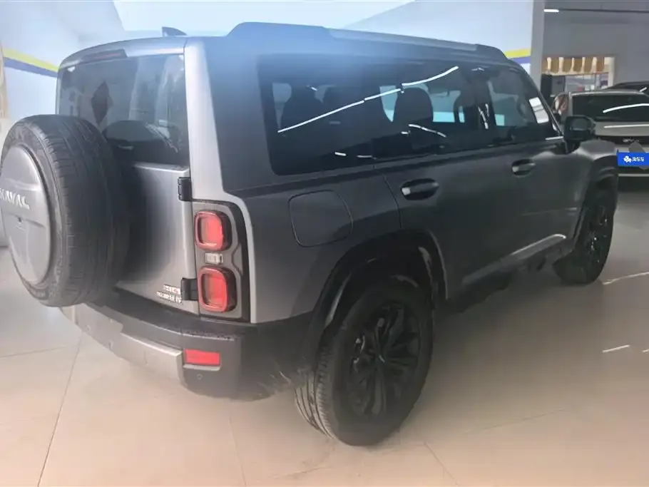 Haval Menglong New Energy 2024 из CN, фото 6