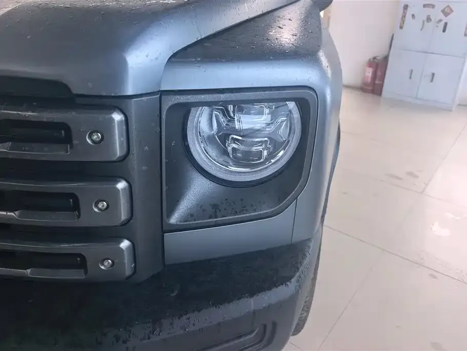 Haval Menglong New Energy 2024 из CN, фото 2