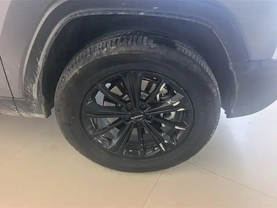 Haval Menglong New Energy 2024 из CN, фото 7