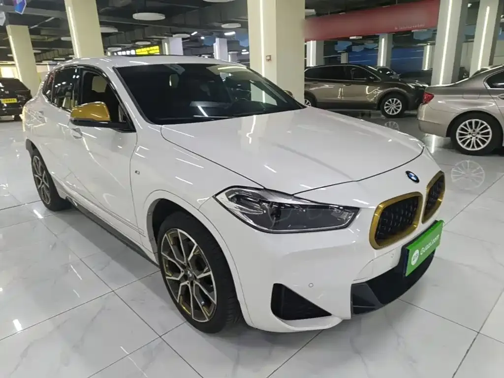 BMW X2 2024 из CN, фото 4