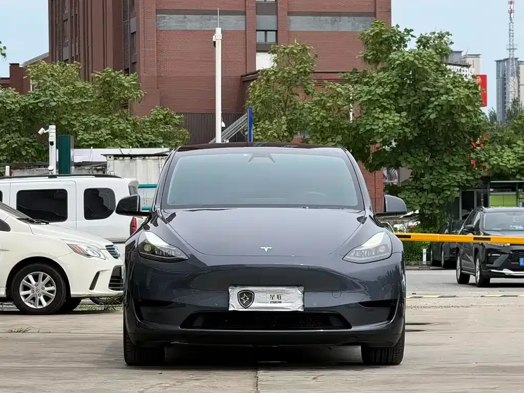Tesla Model Y — фото 3