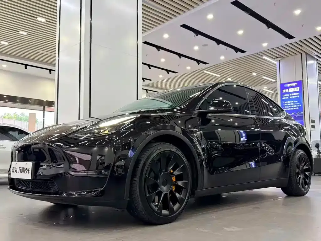 Tesla Model Y — фото 1