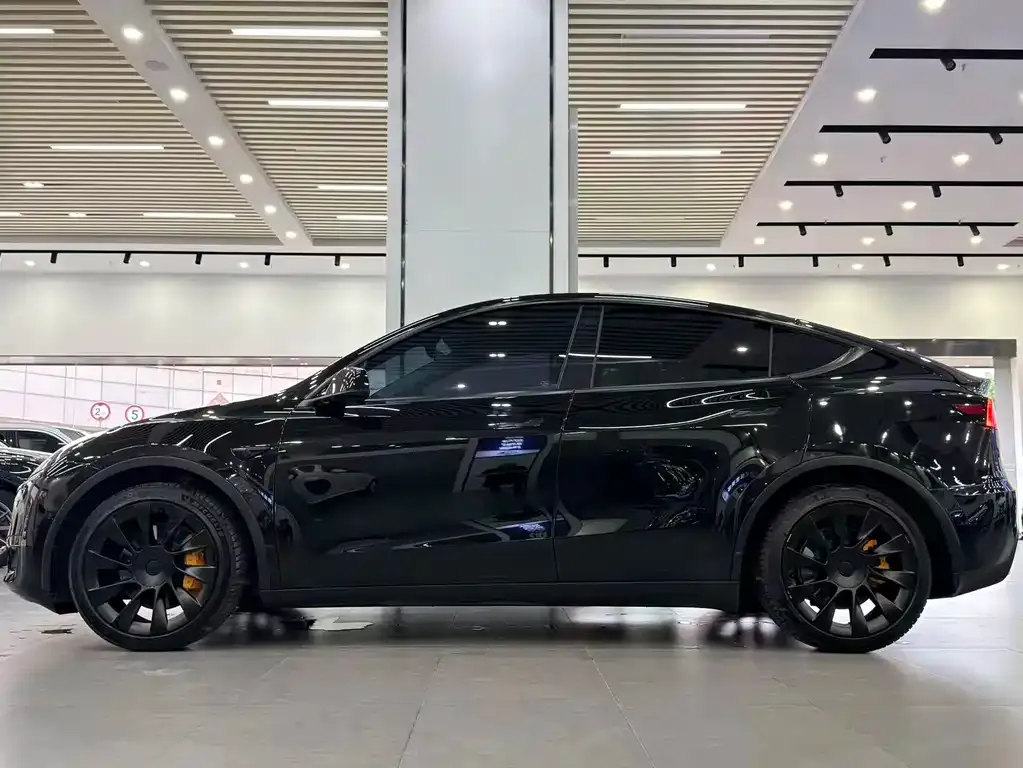 Tesla Model Y — фото 10
