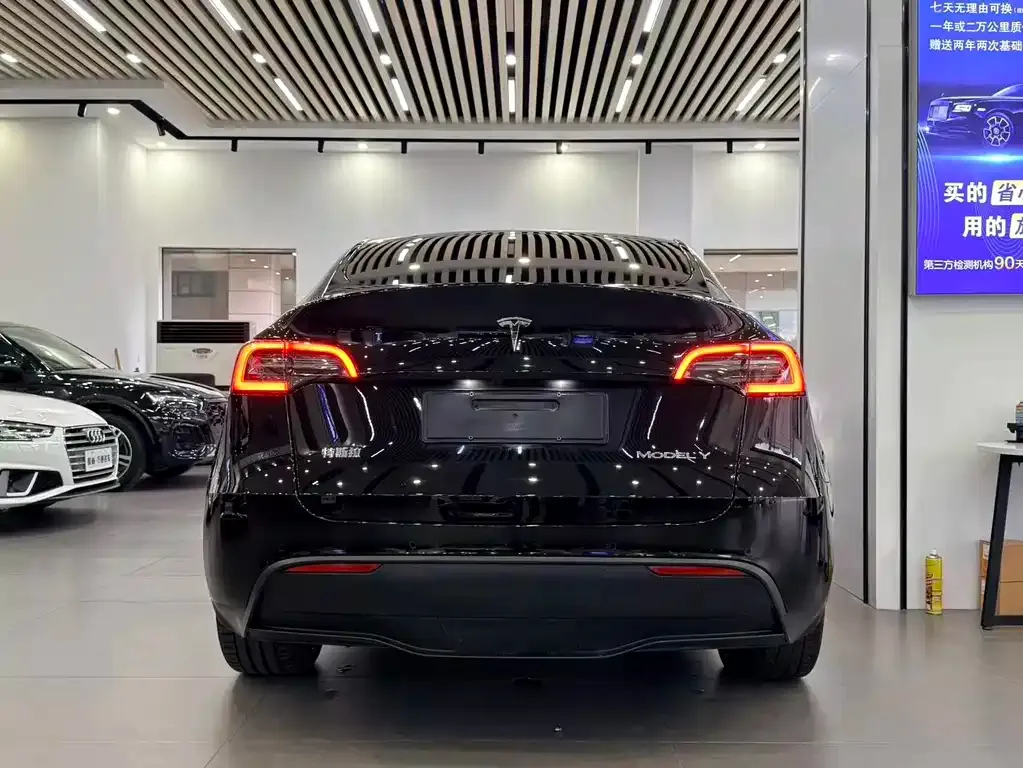 Tesla Model Y — фото 2