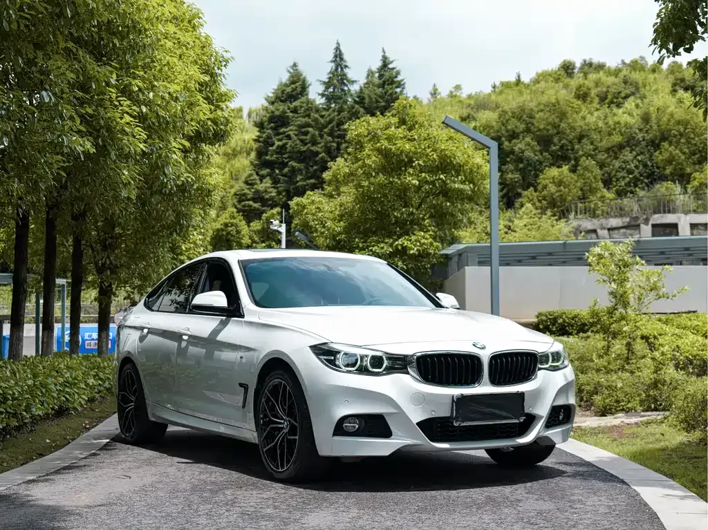 BMW 3 Series GT — фото 6