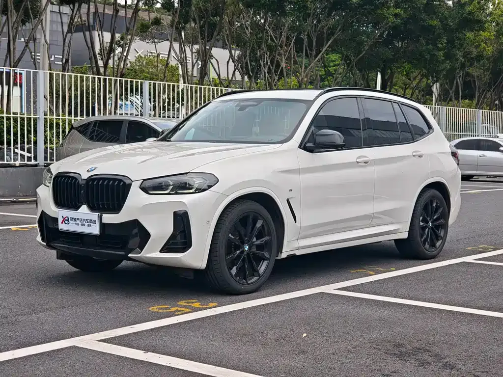 BMW X3 — фото 1