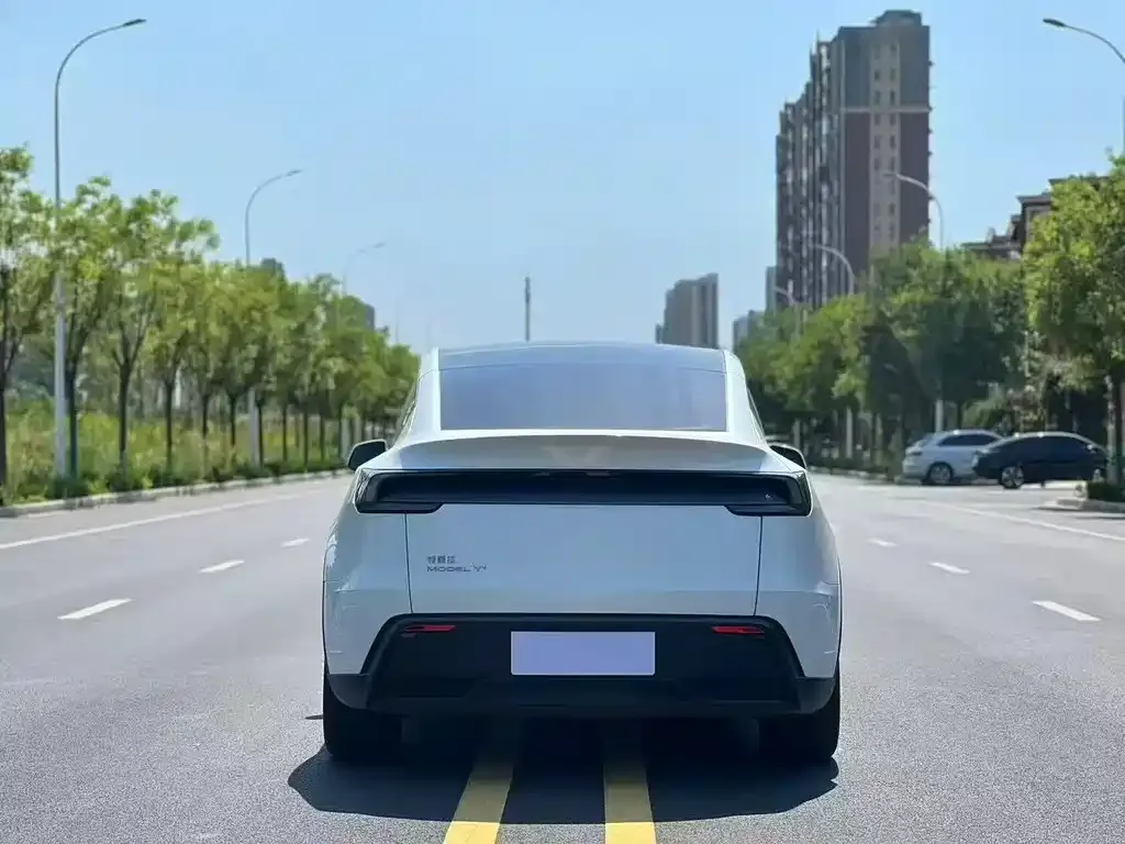 Tesla Model Y — фото 6
