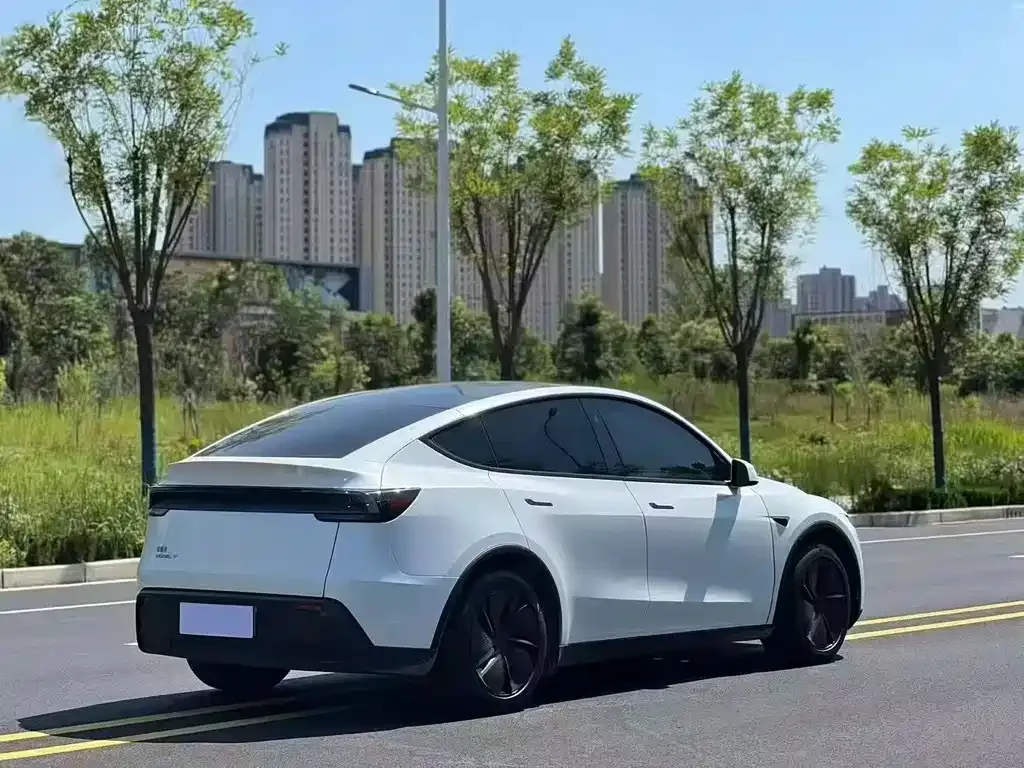 Tesla Model Y — фото 8
