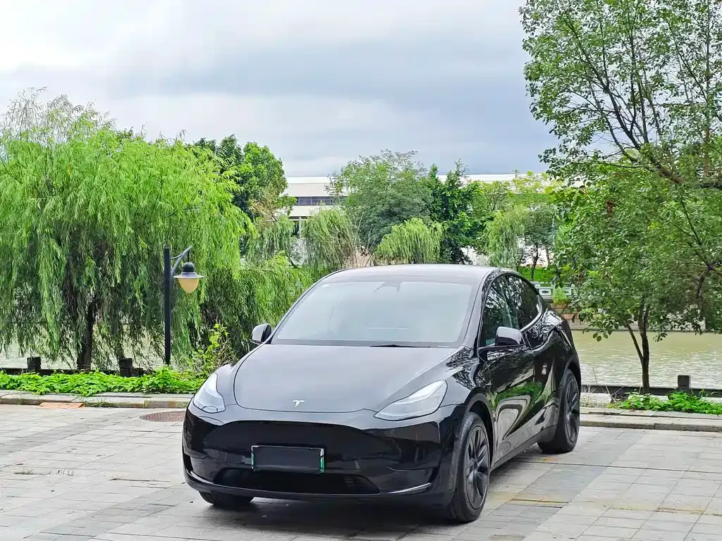 Tesla Model Y — фото 1