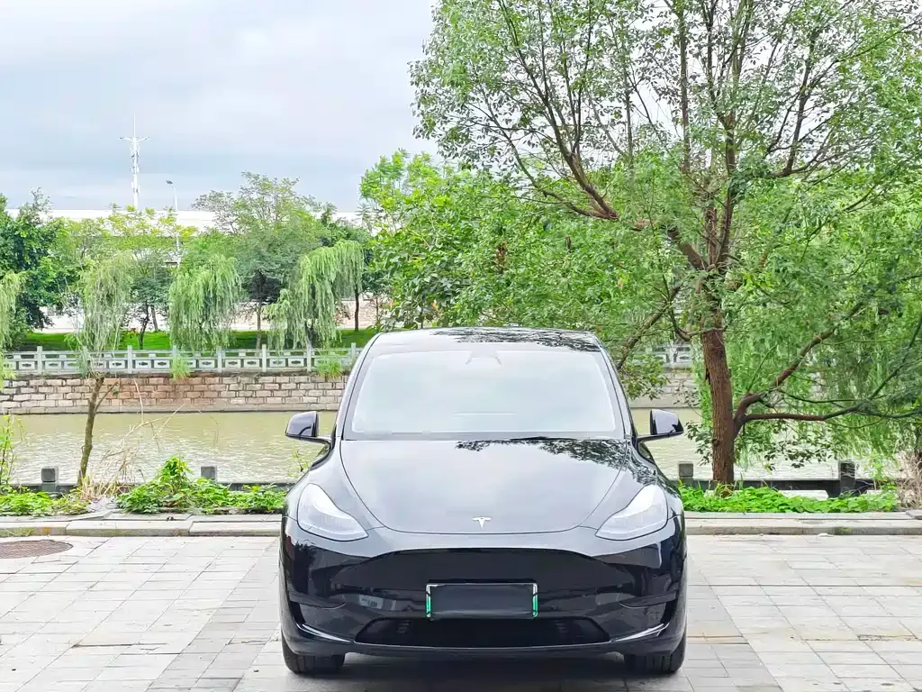 Tesla Model Y — фото 7