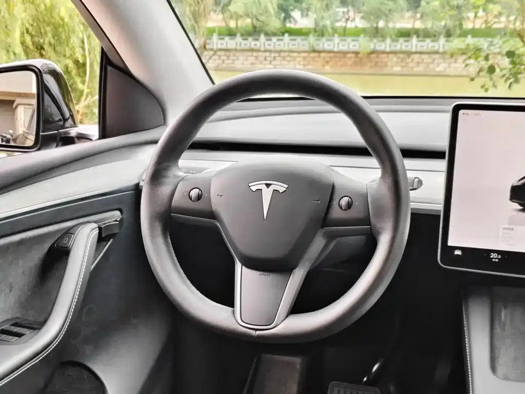 Tesla Model Y — фото 8