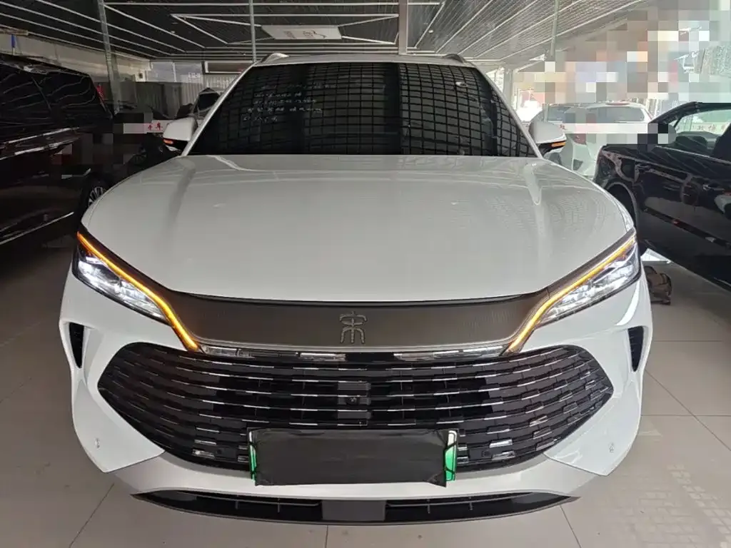 BYD L DM-i — фото 6