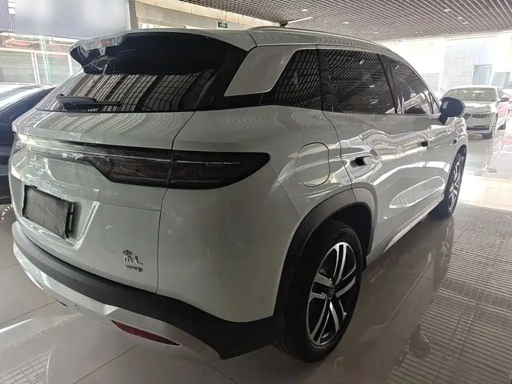 BYD L DM-i — фото 4