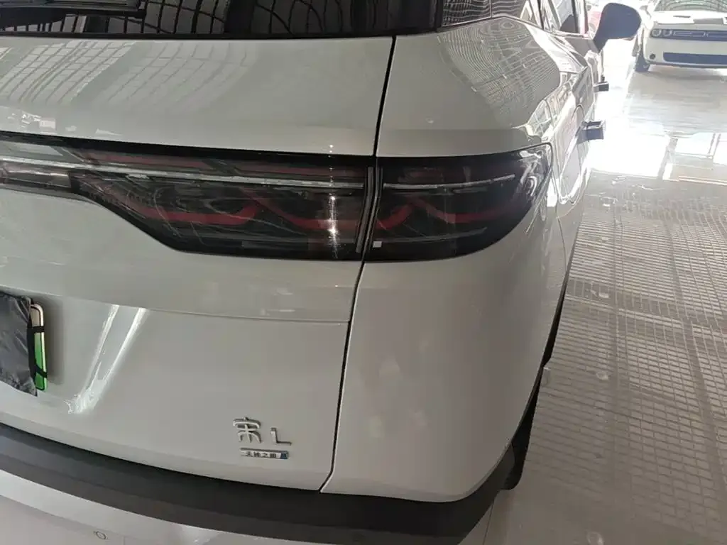 BYD L DM-i — фото 9
